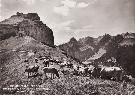 Hoher Kasten Foto Gross, St. Gallen, Nr. 23736 _RU