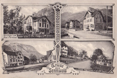 Sennwald Foto Chr. Tischhauser, Buchs, No. 1045 _RU