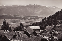 Sennwald Foto Gross, St. Gallen, Nr. 29687, 1958 _RU