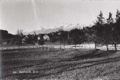 Sennwald Foto Gross, St. Gallen, Nr. 7837 _RU