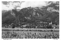 1954_Sennwald_27762