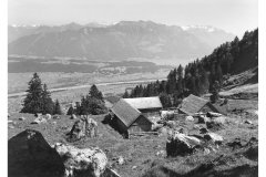 1958_Sennwald_29687