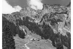 1958_Sennwald_29688